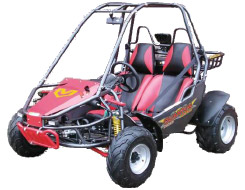American Sportworks Carbide / Quantum 7150 Go Kart / Dune Buggy