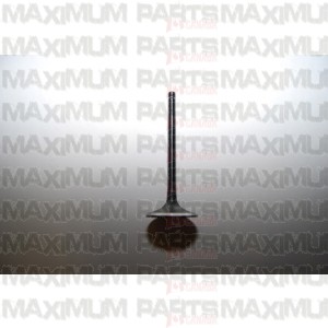 Intake / Inlet Valve CN / Cf Moto 250 172MM-022001 Side